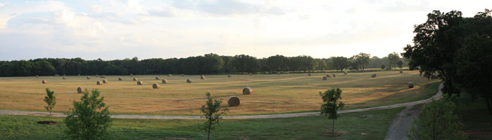 Front View Ranch